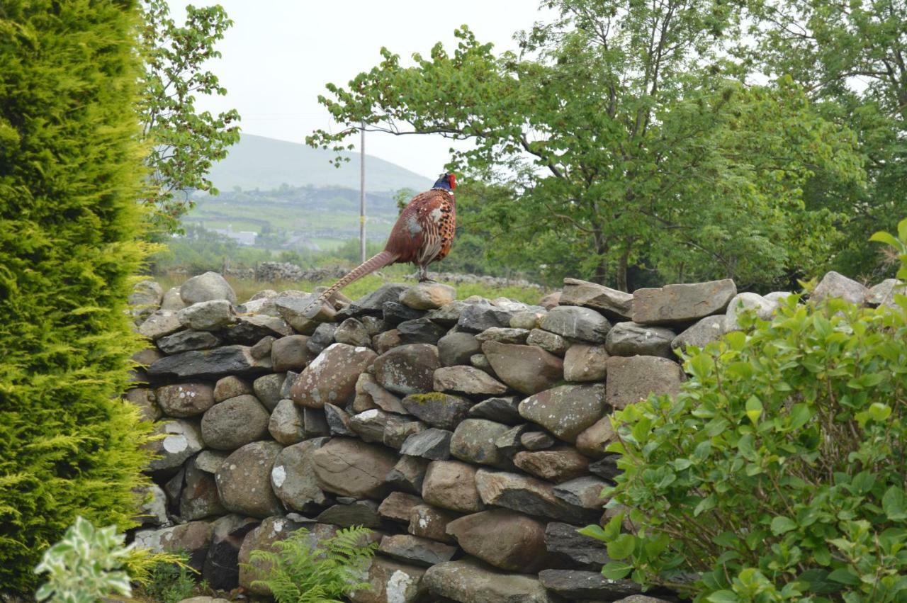 Beudy Bach And Beudy Mawr Mountainstudios Μπάνγκορ Εξωτερικό φωτογραφία